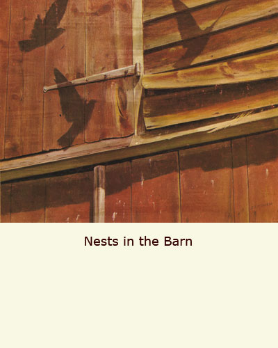 Nests in the Barn